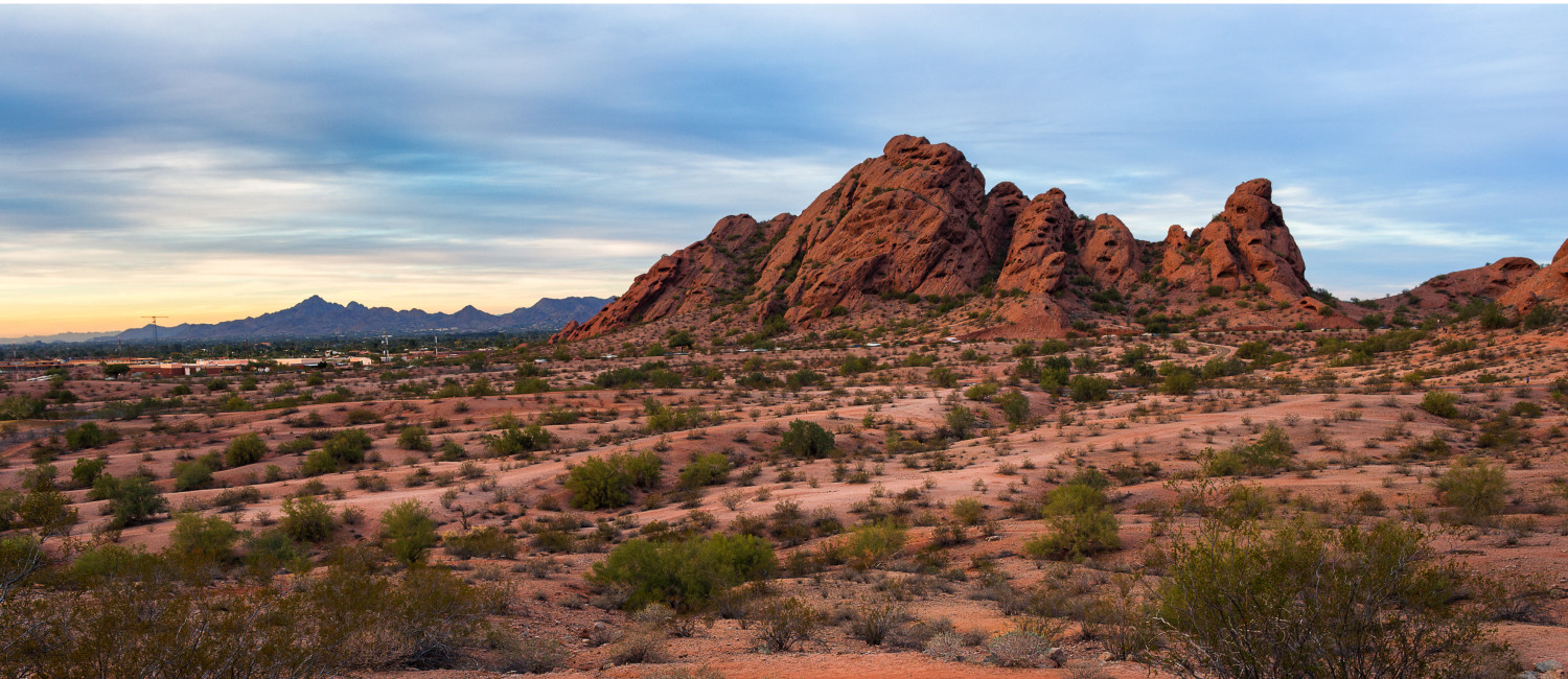 Things To Do In Downtown Phoenix